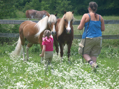 Amanda and Ashland and the ponies